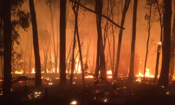 Bushfire