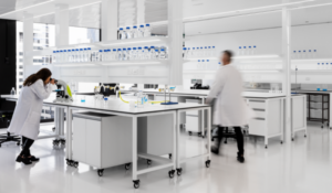 A photo of westlab in their lab